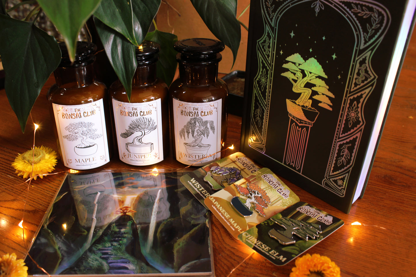 The Bonsai Club Bundle