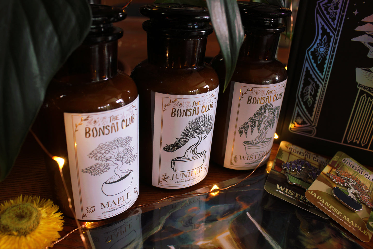 The Bonsai Club Bundle