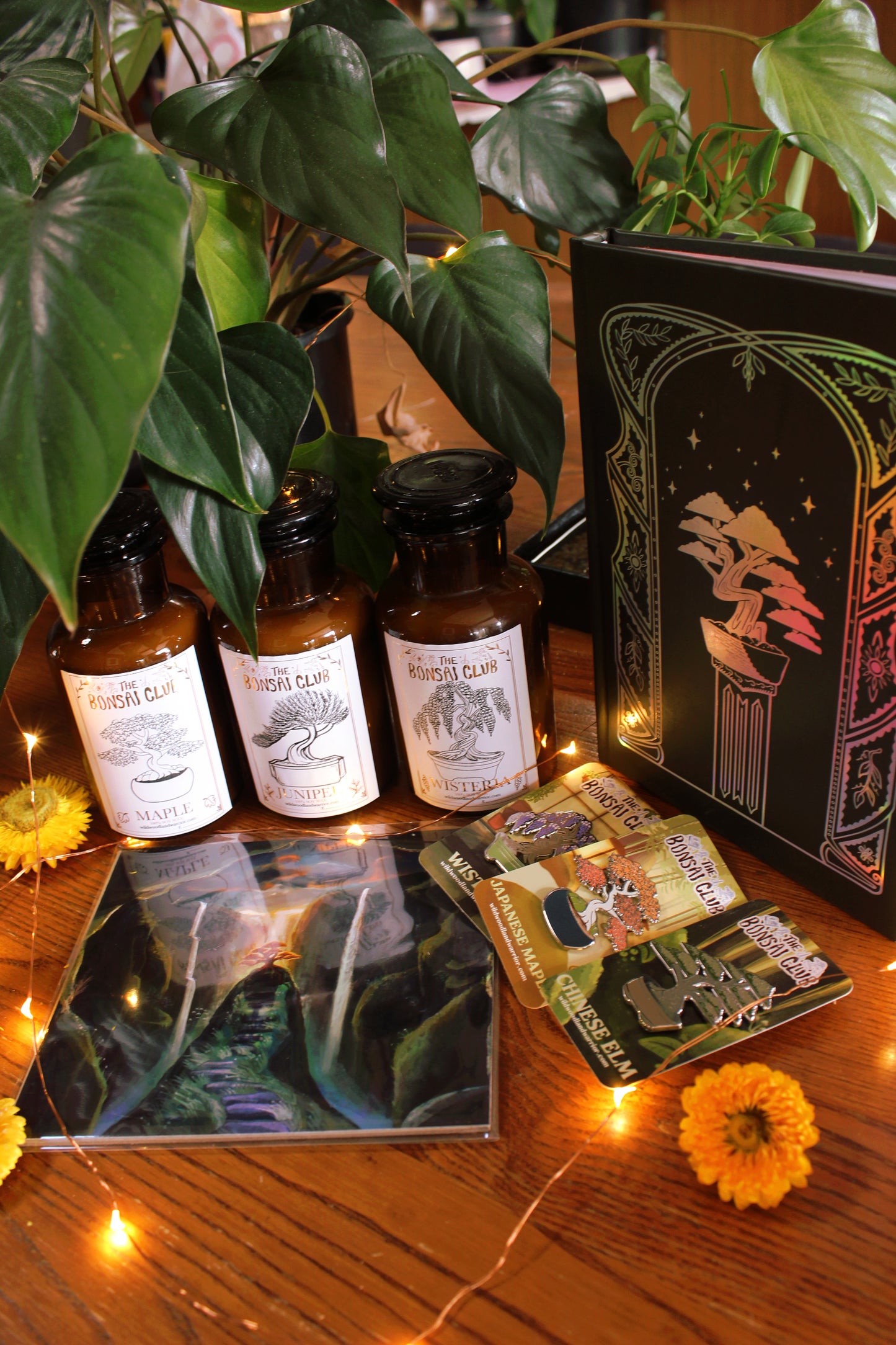 The Bonsai Club Bundle