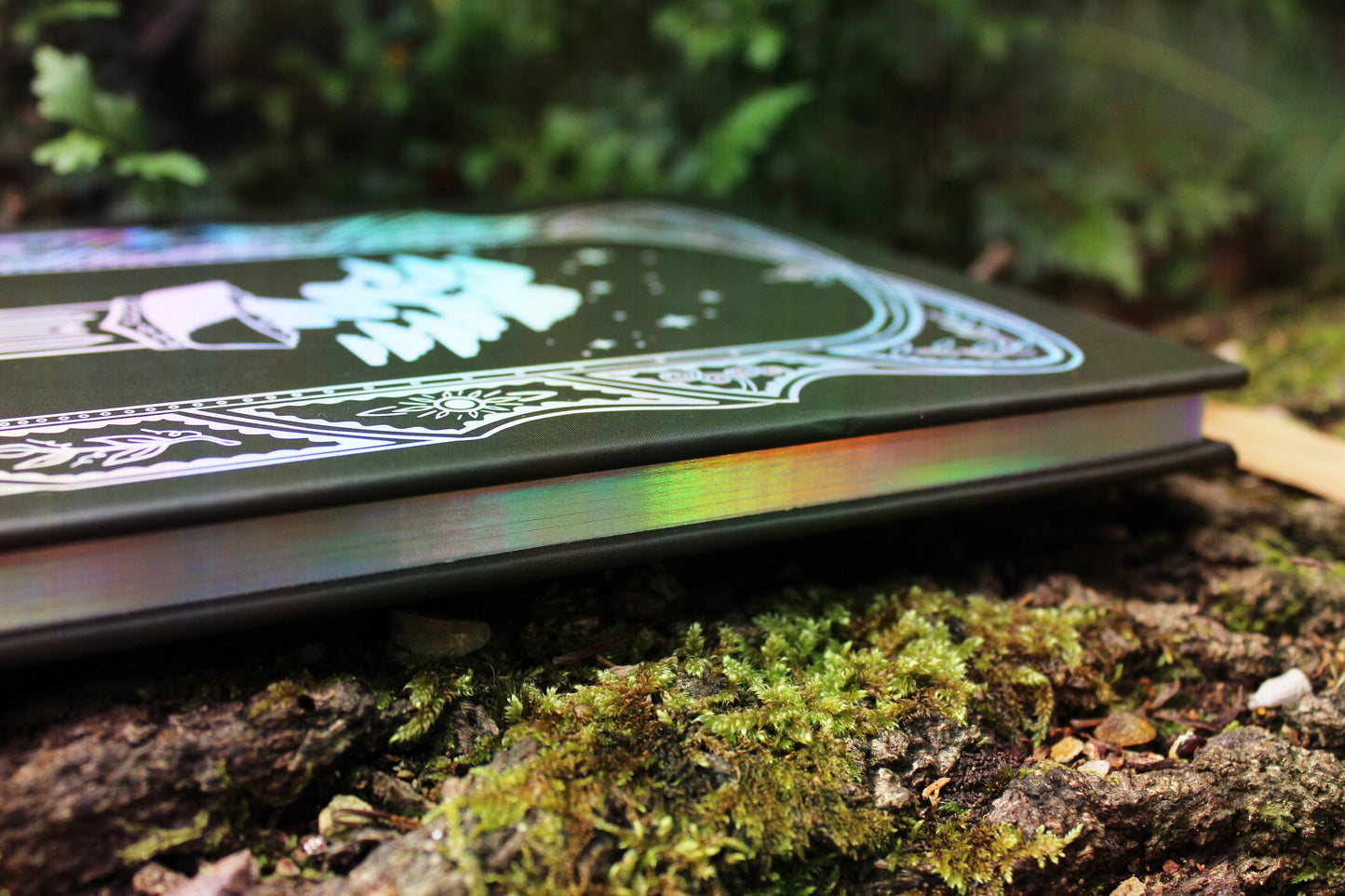 The Bonsai Club Journal