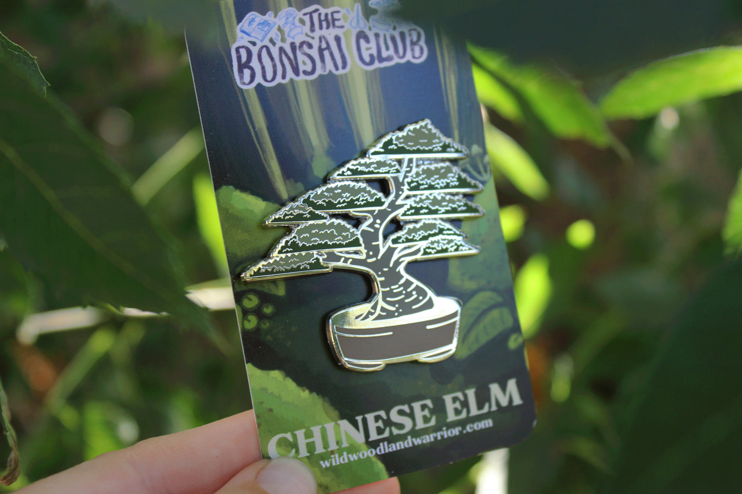 Chinese Elm Enamel Pin | The Bonsai Club