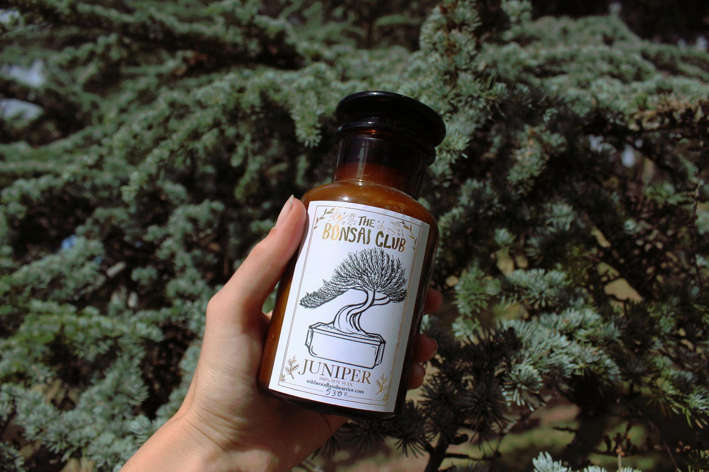 Juniper Candle | The Bonsai Club