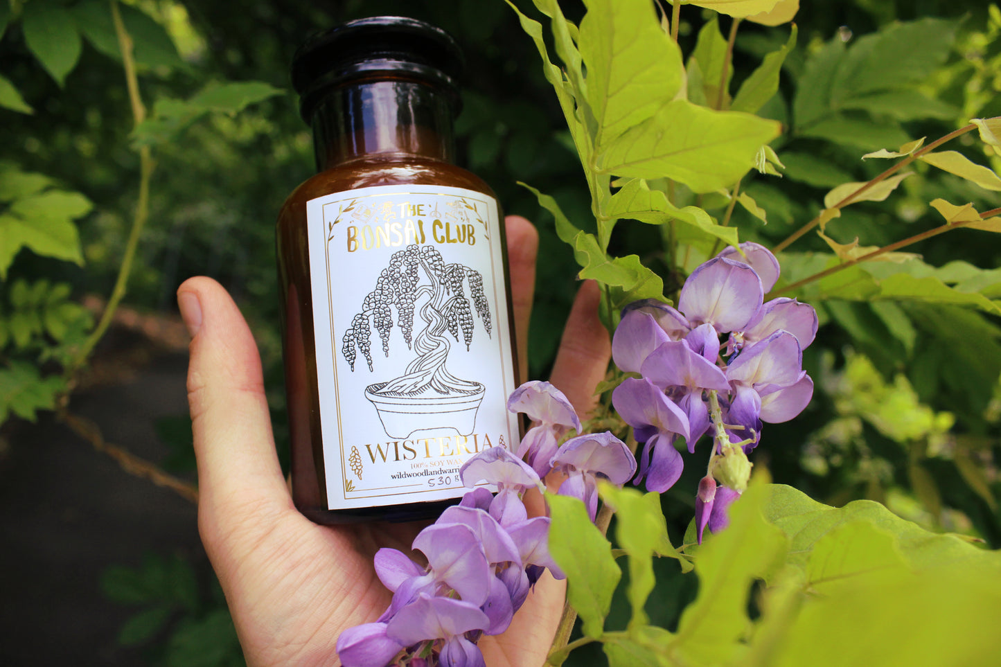 Wisteria Candle | The Bonsai Club