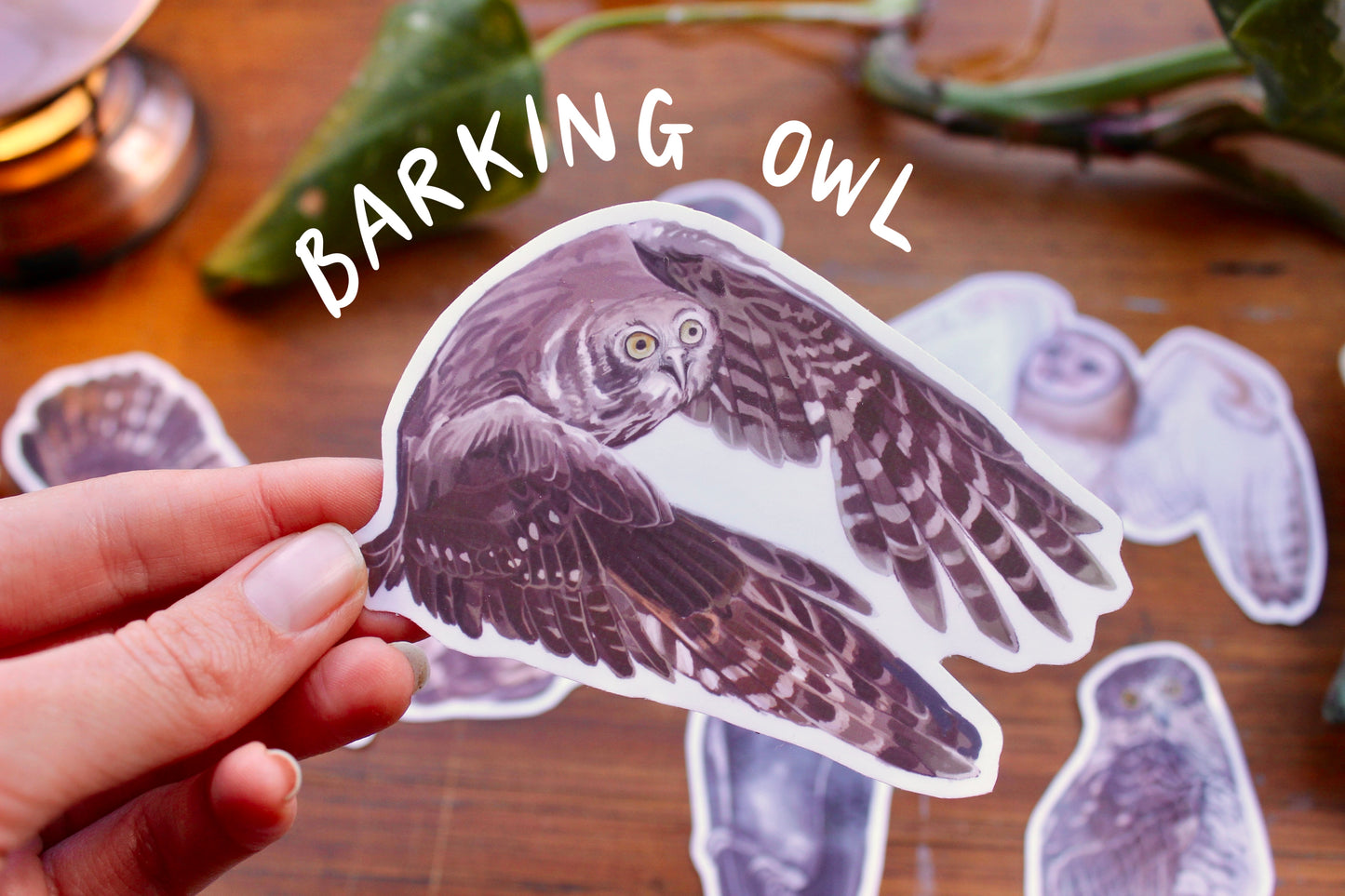Native Australian Owls Stickers
