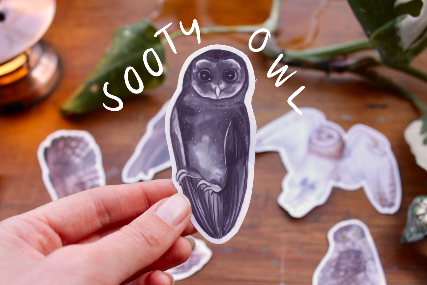 Native Australian Owls Stickers