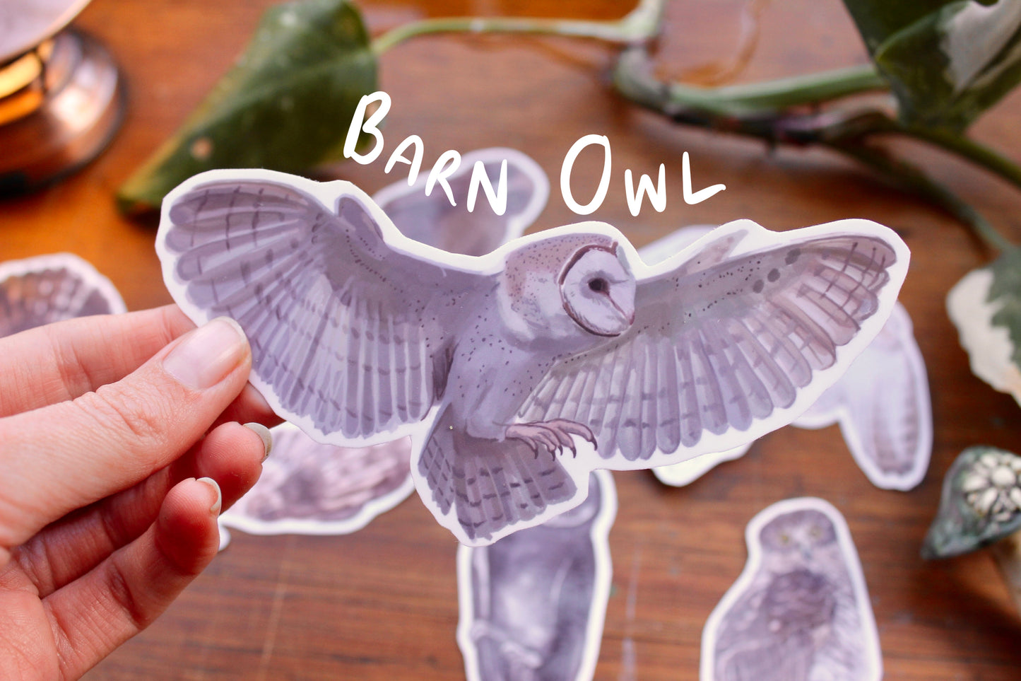 Native Australian Owls Stickers