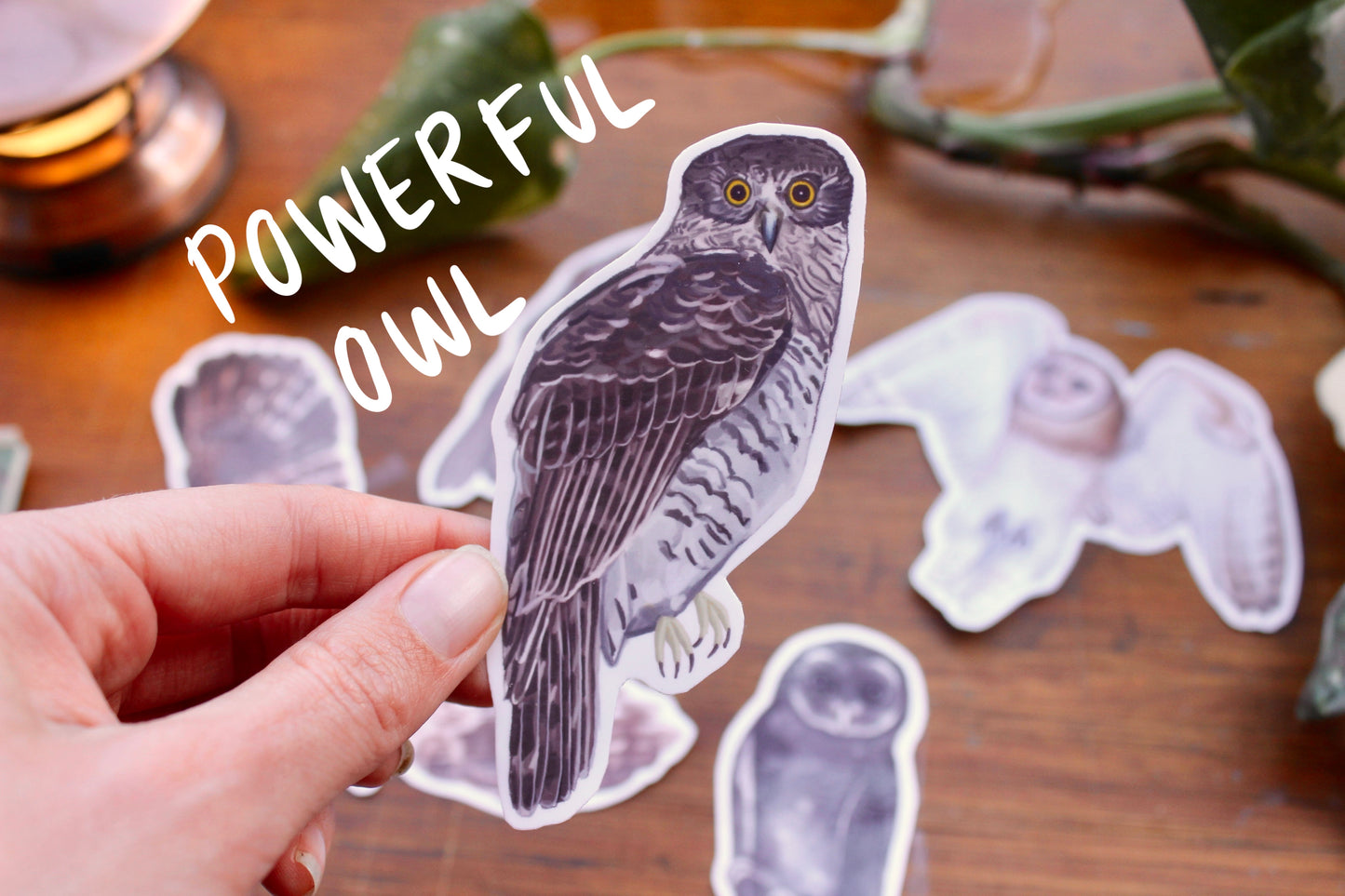 Native Australian Owls Stickers