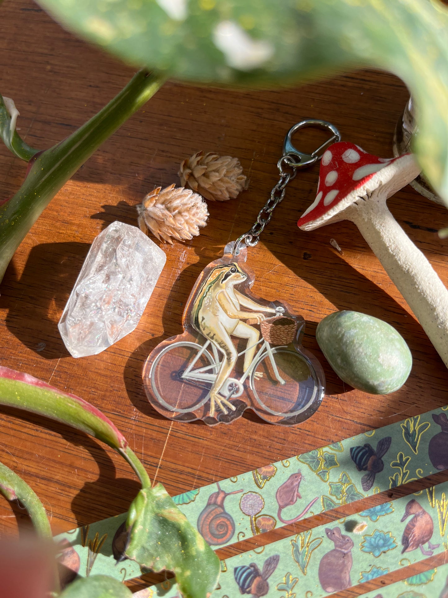 The Brown Stripped Tree Frog Keyring