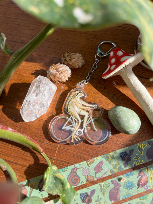 The Brown Stripped Tree Frog Keyring