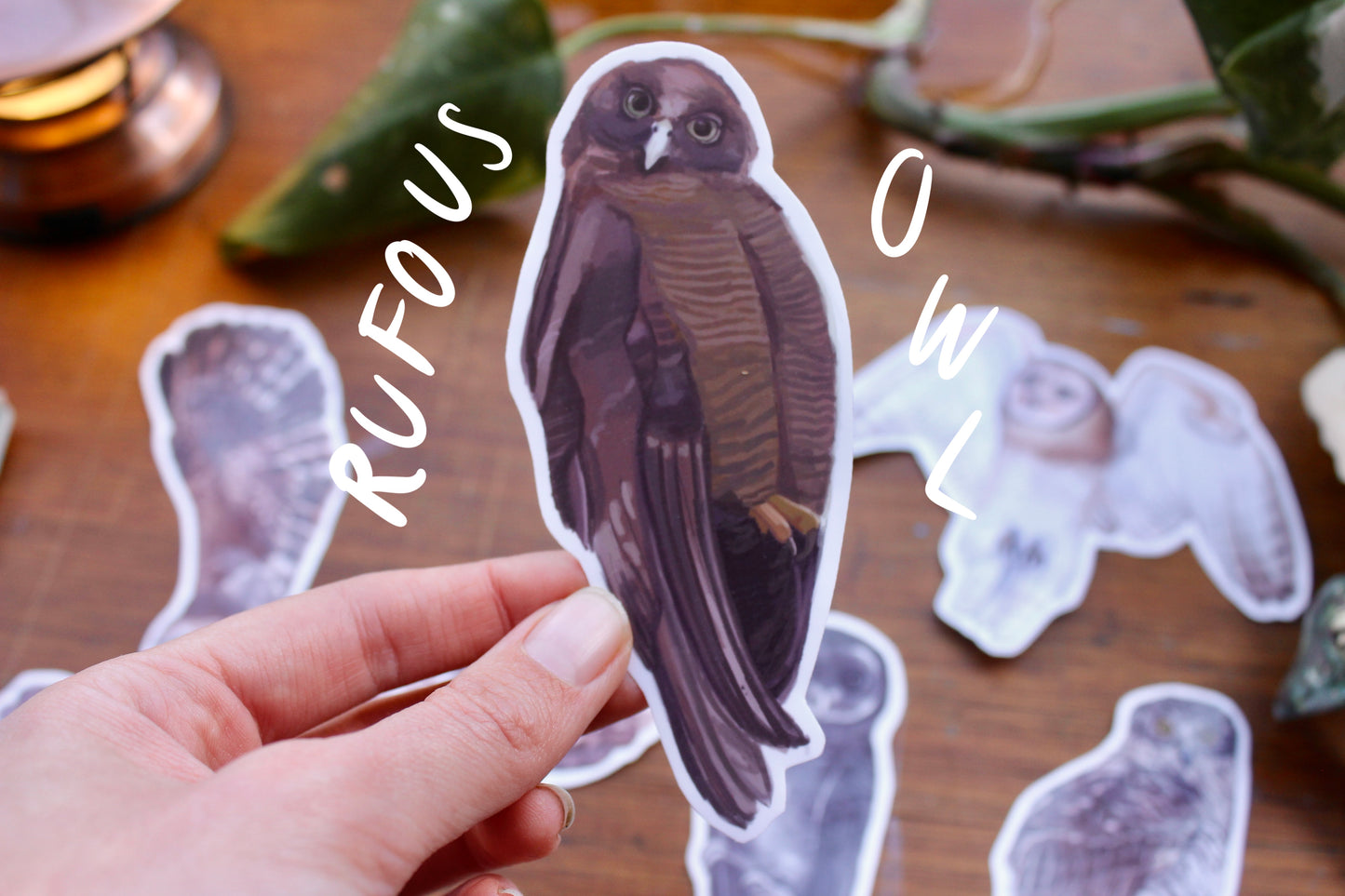 Native Australian Owls Stickers