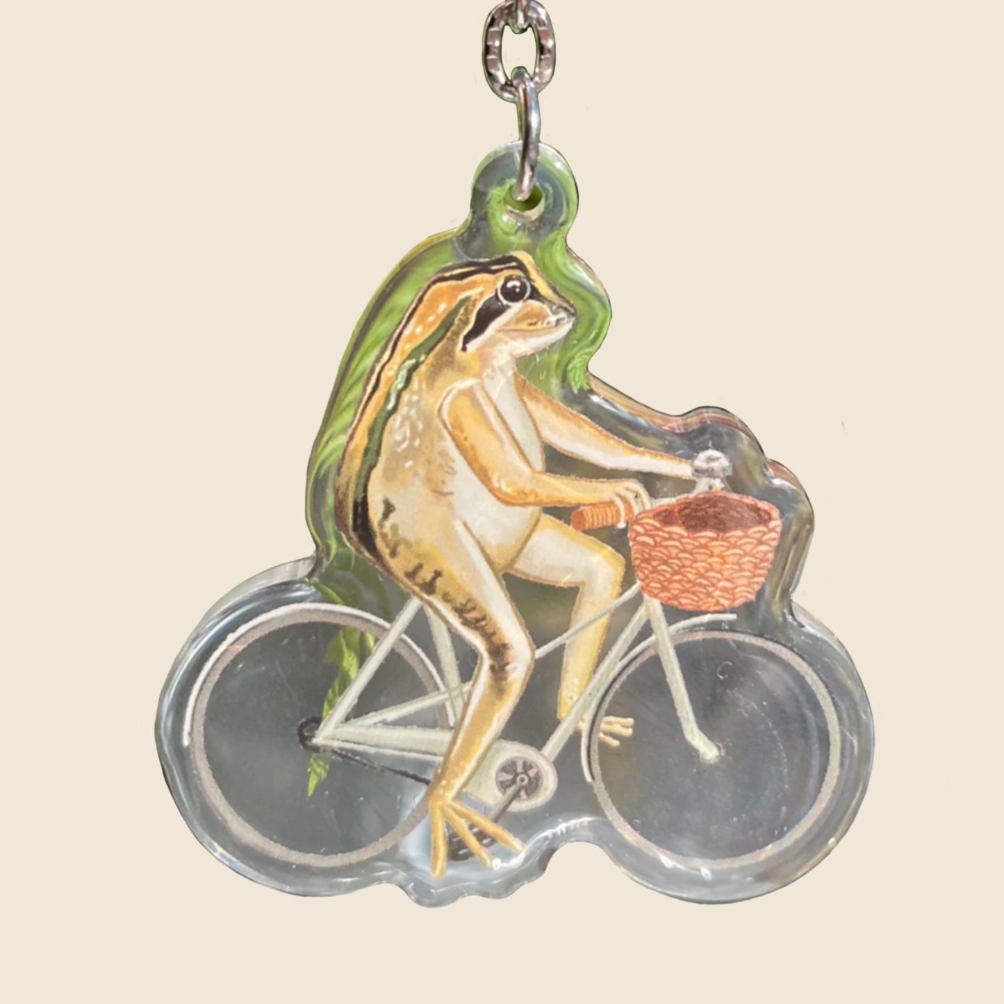 The Brown Stripped Tree Frog Keyring