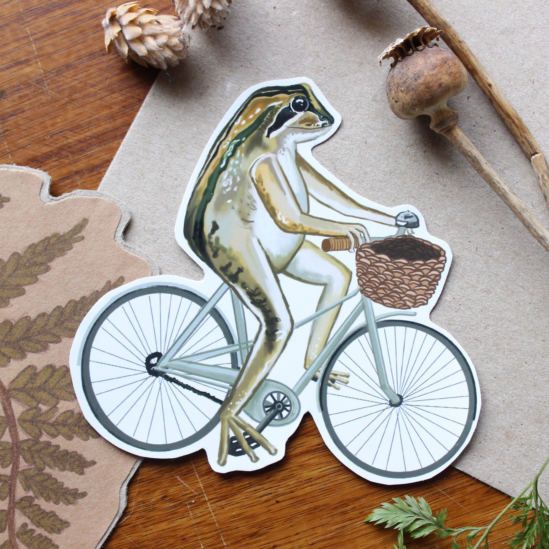 Frog Toad Stickers Great Stripped Tree Frog